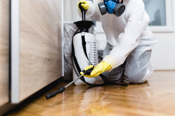 Reliable Westmorland, CA Pest Control Solutions