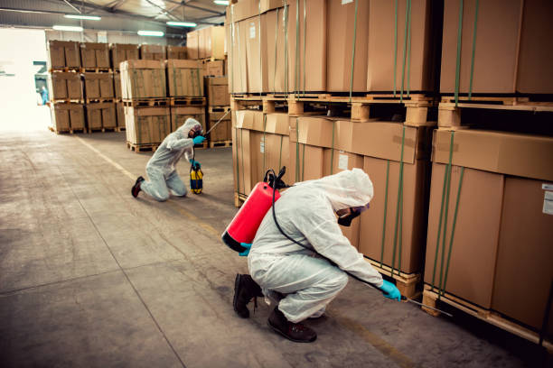 Best Wildlife Control Services  in Westmorland, CA