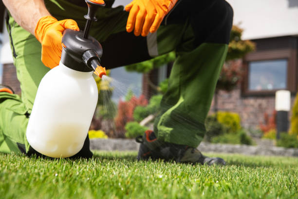 Best Pest Removal Services  in Westmorland, CA