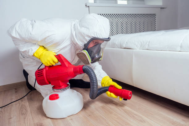 Best Best Pest Control Companies  in Westmorland, CA