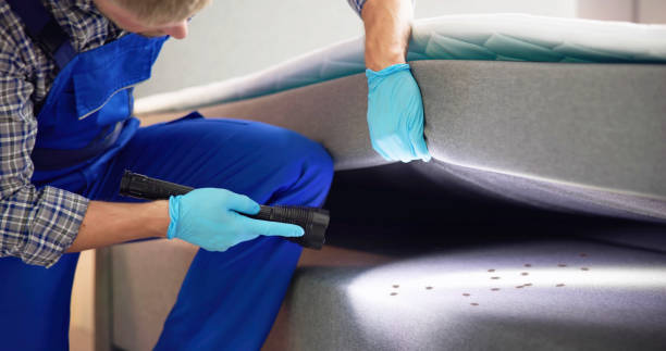 Best Wasp Removal Services  in Westmorland, CA