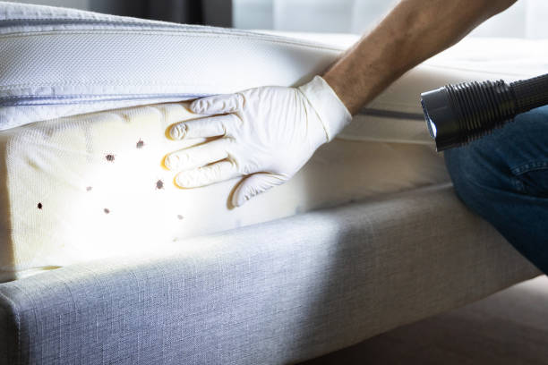 Best Pest Prevention Services  in Westmorland, CA