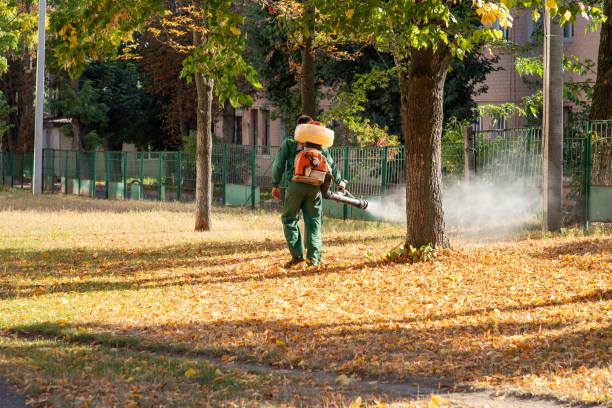 Best Pest Prevention Services  in Westmorland, CA